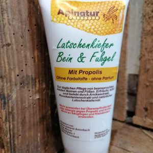 Bein und Fußgel